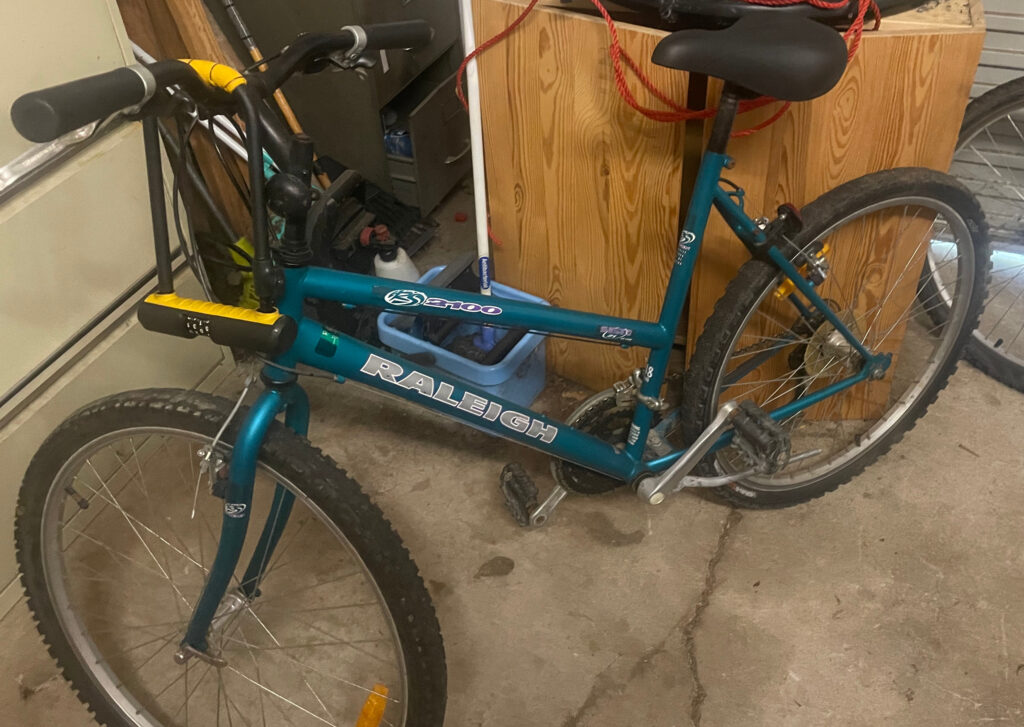 Raleigh RS 2100 Steal Step-Through Commuter